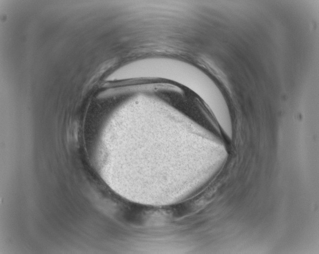 X0000065250115200603131138