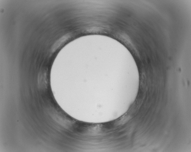 X0000065250116200603131138