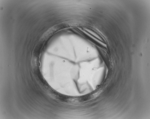 X0000065250117200603131138