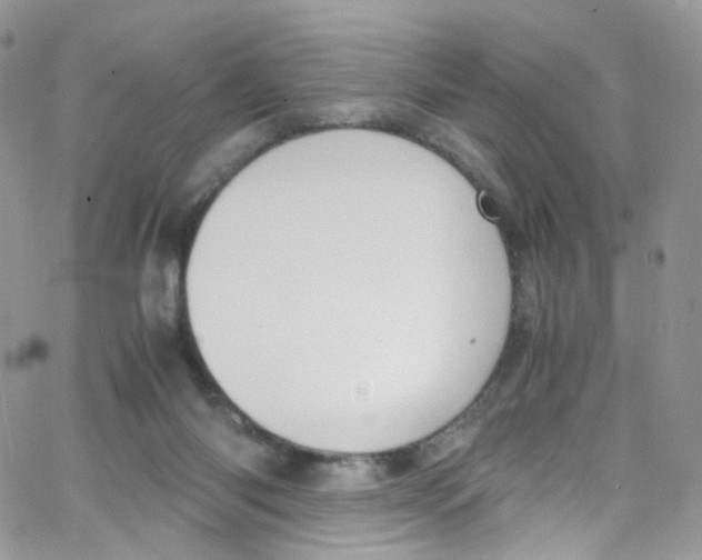 X0000065250118200603131138