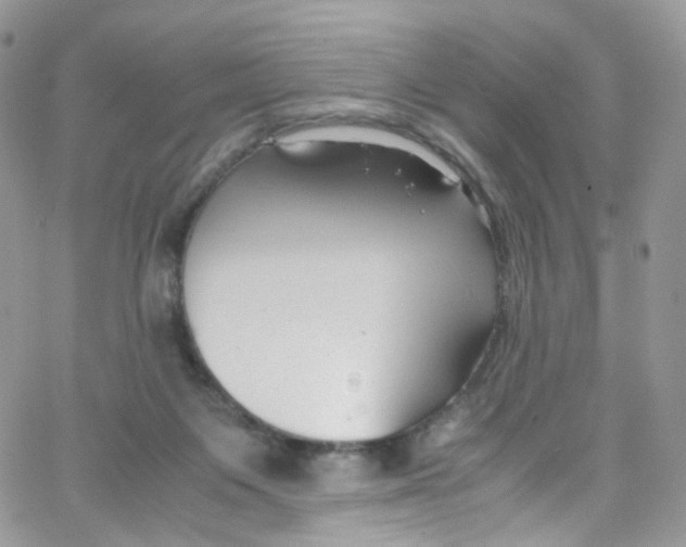 X0000065250119200603131138