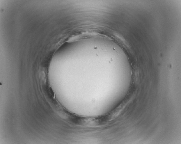 X0000065250121200603131137