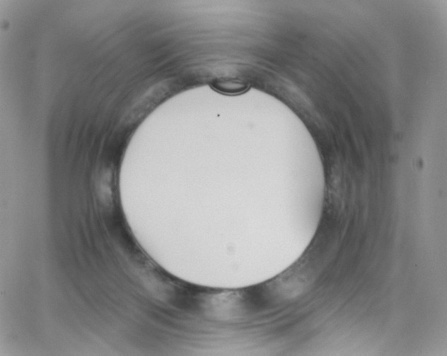 X0000065250122200603131137