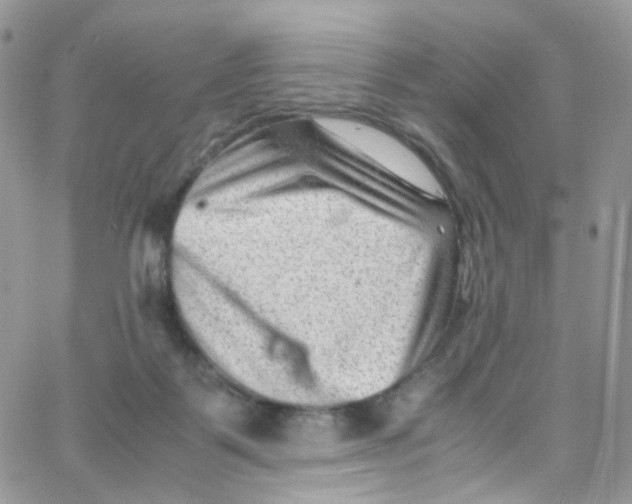 X0000065250123200603131137