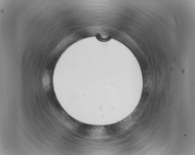 X0000065250124200603131137