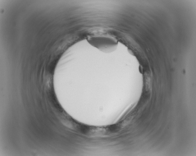 X0000065250125200603131137