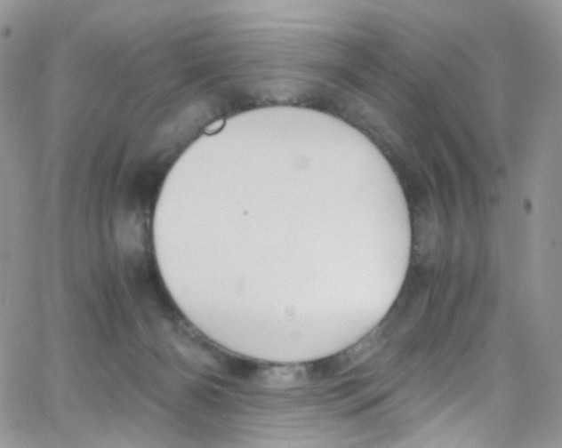 X0000065250126200603131137