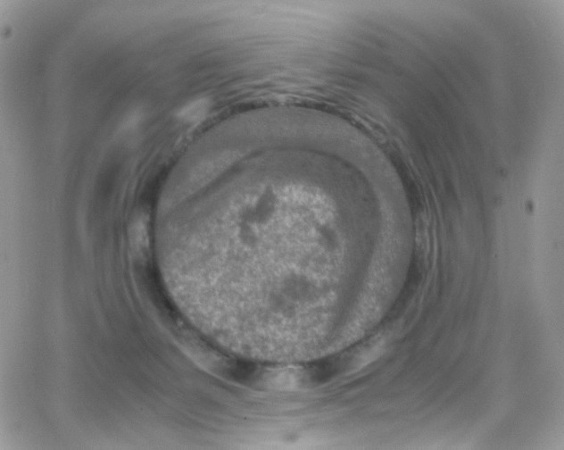 X0000065250127200603131137