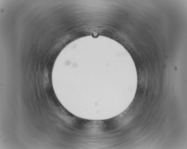 X0000065250128200603131137