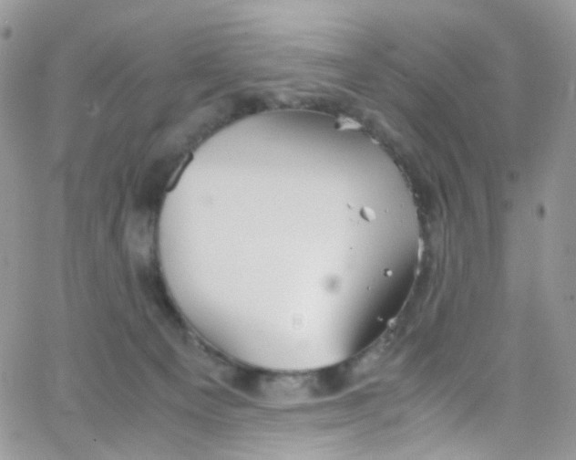 X0000065250129200603131137