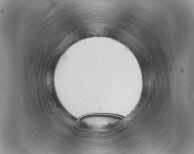 X0000065250132200603131137