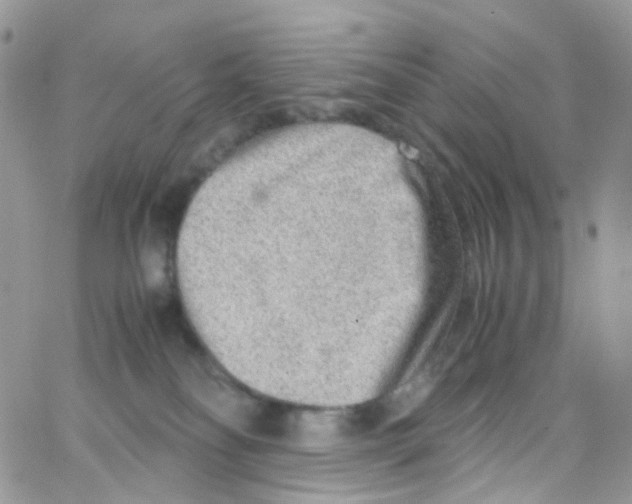 X0000065250134200603131137