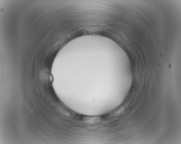 X0000065250135200603131137