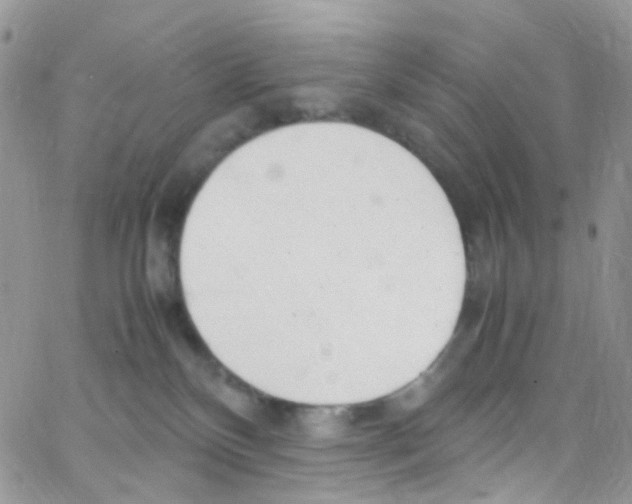 X0000065250136200603131137