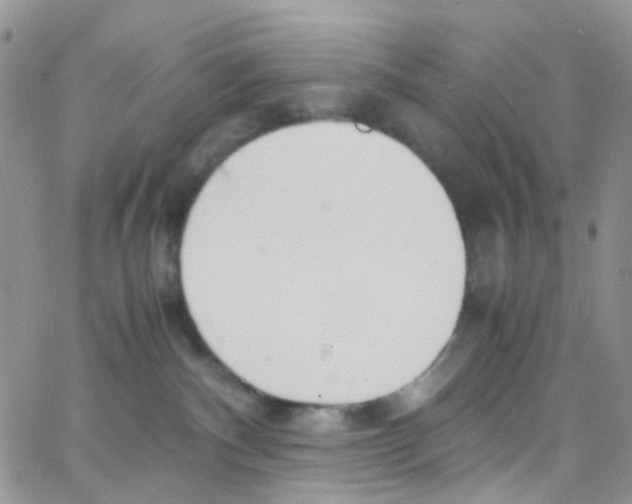 X0000065250140200603131137