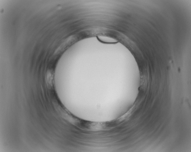 X0000065250142200603131137