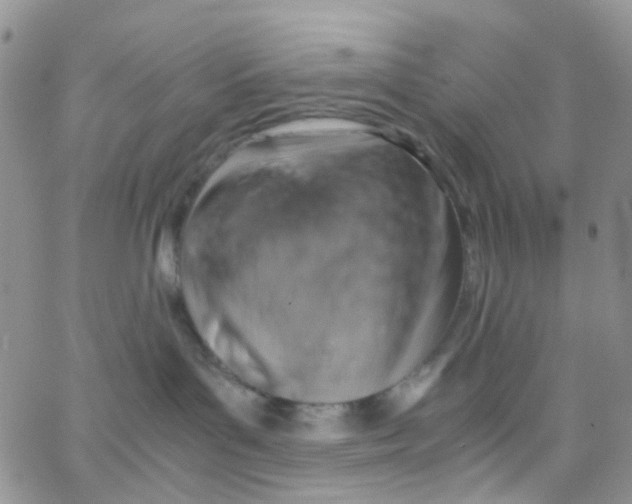 X0000065250143200603131137