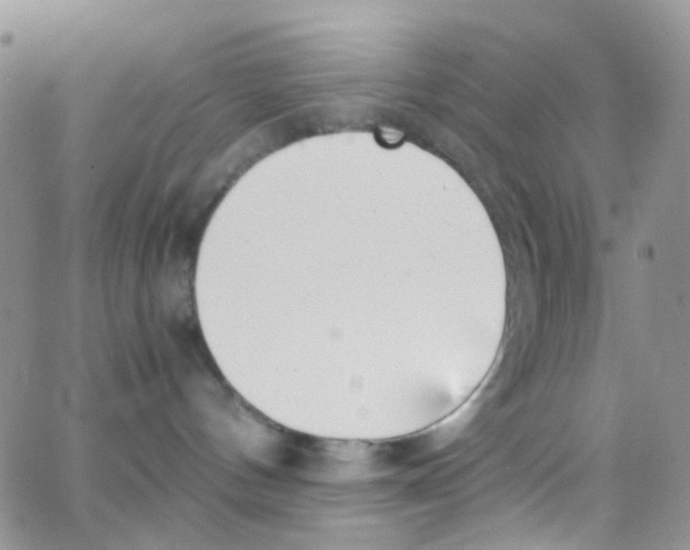 X0000065250144200603131137