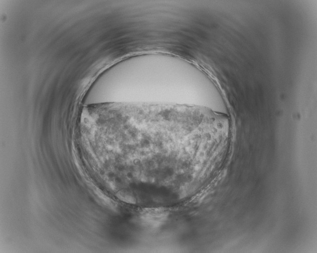 X0000065250145200603131136