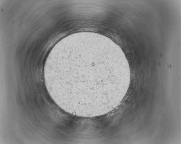 X0000065250146200603131136