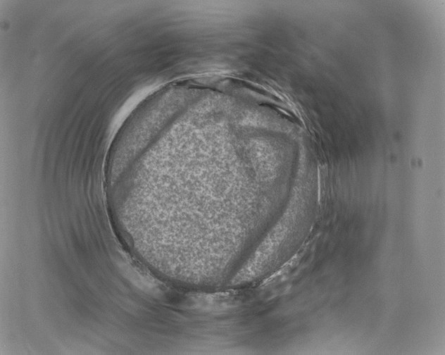 X0000065250147200603131136