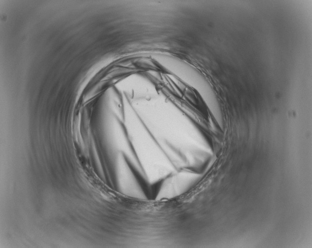 X0000065250148200603131136