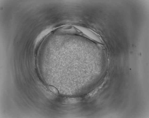 X0000065250149200603131136