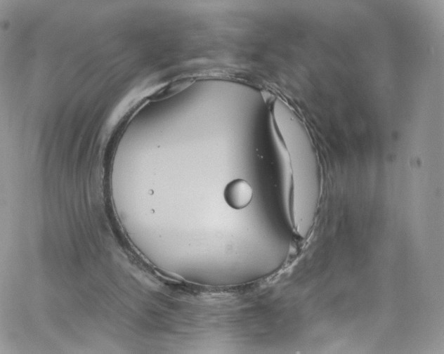 X0000065250150200603131136