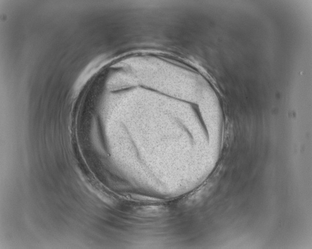 X0000065250151200603131136