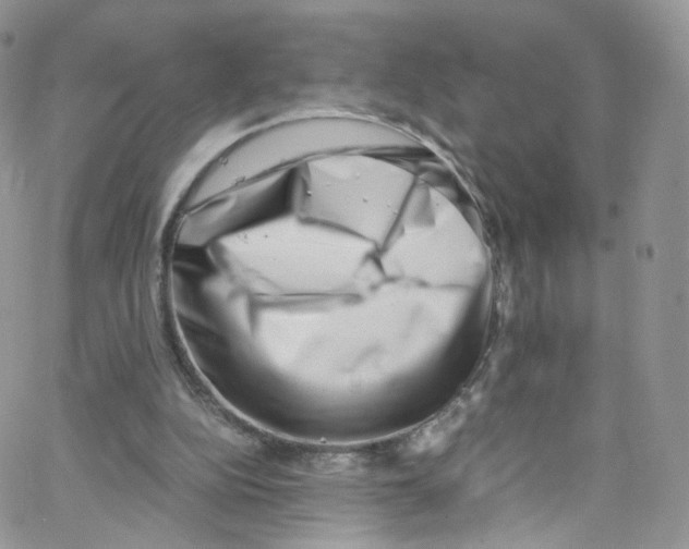 X0000065250152200603131136