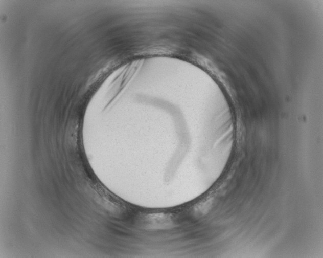 X0000065250153200603131136