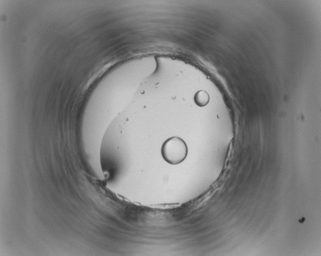 X0000065250154200603131136