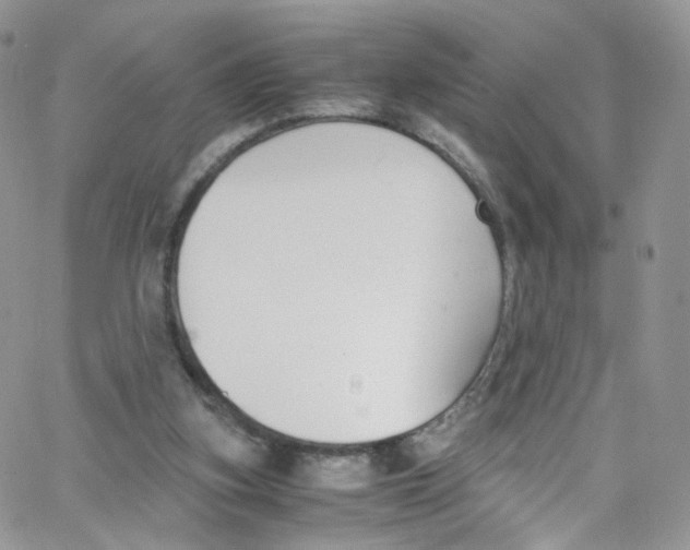 X0000065250155200603131136