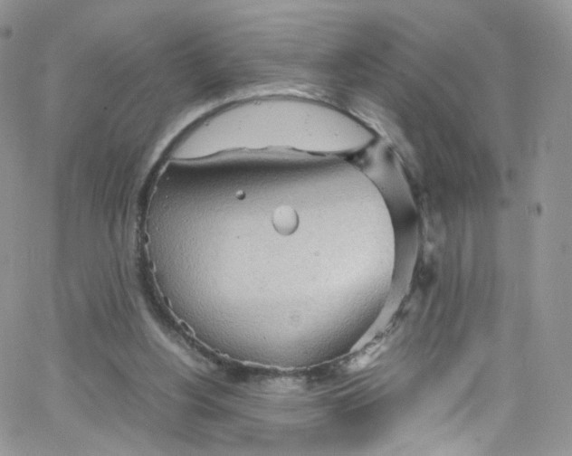 X0000065250156200603131136