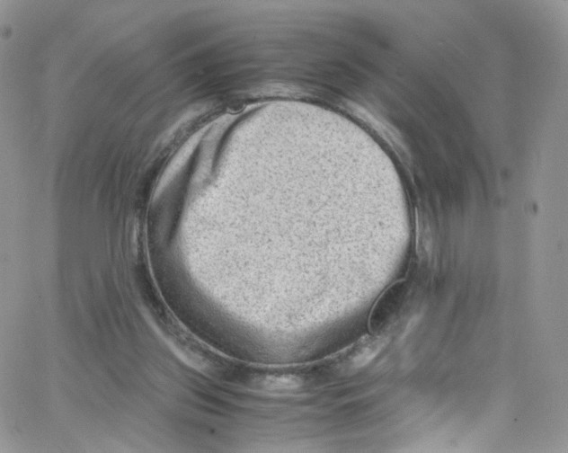 X0000065250157200603131136