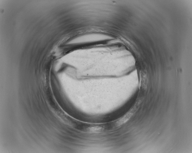 X0000065250158200603131137