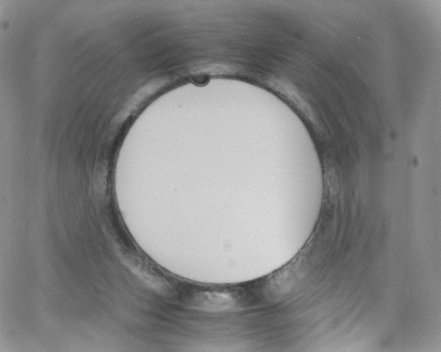 X0000065250159200603131137