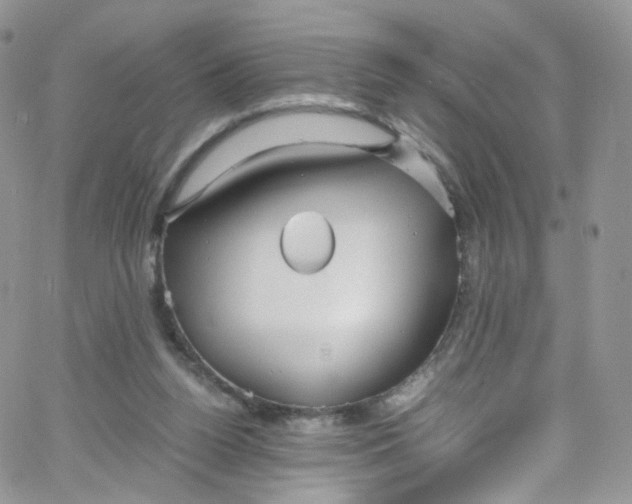 X0000065250160200603131137