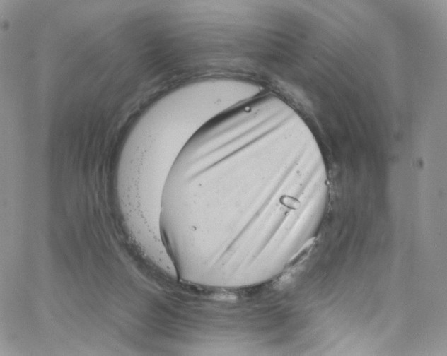 X0000065250162200603131137