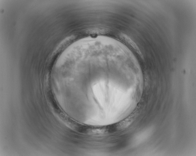 X0000065250163200603131137