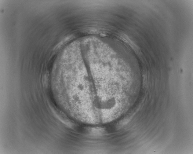 X0000065250165200603131137