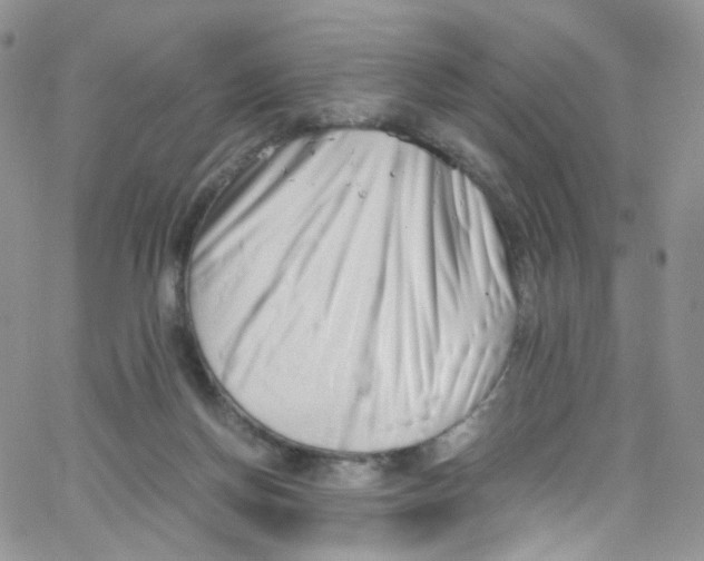 X0000065250166200603131137