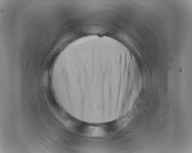 X0000065250167200603131137