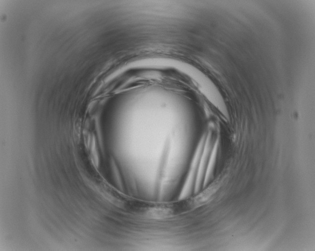 X0000065250168200603131137