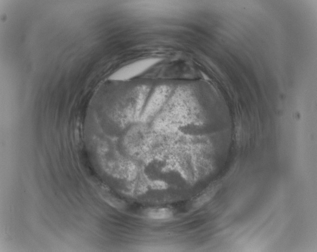 X0000065250169200603131137