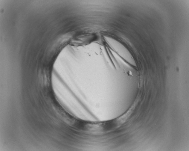 X0000065250170200603131137