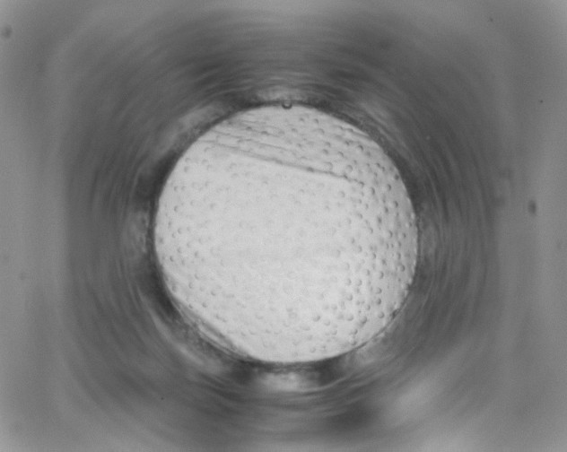 X0000065250171200603131137