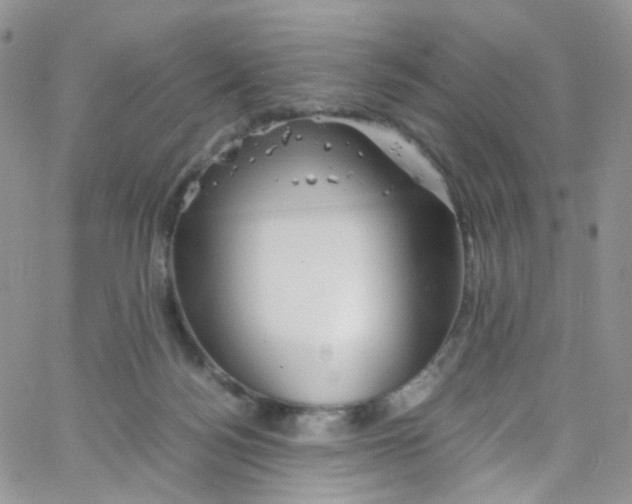 X0000065250172200603131137