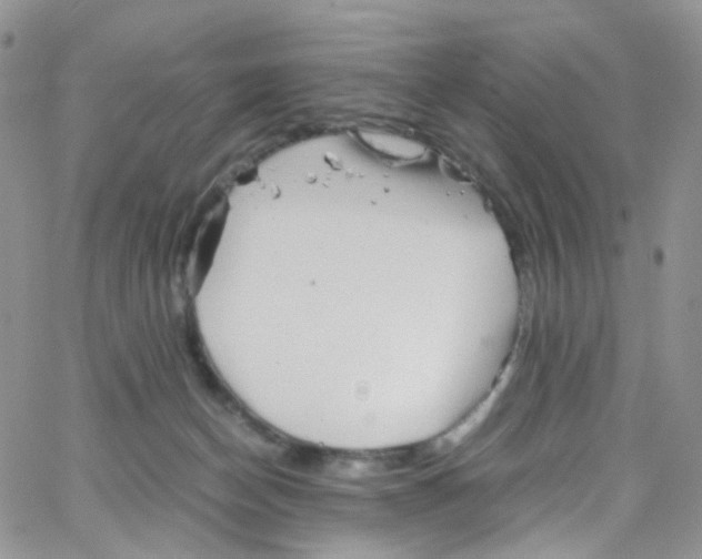 X0000065250174200603131137