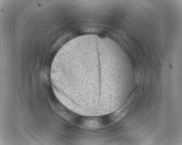 X0000065250175200603131137